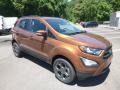 2018 Canyon Ridge Ford EcoSport SES 4WD  photo #3