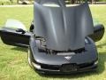 2003 Black Chevrolet Corvette Coupe  photo #11