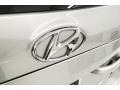 Moonstone Silver - Santa Fe GLS AWD Photo No. 30
