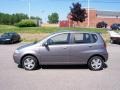 2007 Medium Gray Chevrolet Aveo 5 LS Hatchback  photo #6