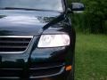 Venetian Green Metallic - Touareg V6 Photo No. 10