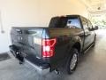 2018 Guard Ford F150 XLT SuperCrew 4x4  photo #2