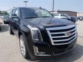 Black Raven - Escalade ESV Premium Luxury 4WD Photo No. 1