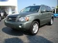2005 Oasis Green Pearl Toyota Highlander Limited  photo #6