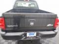 Brilliant Black - Dakota Big Horn Crew Cab 4x4 Photo No. 10