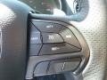 DB Black Crystal - Durango GT AWD Photo No. 19