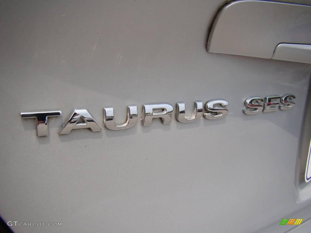2004 Taurus SES Sedan - Silver Frost Metallic / Medium Graphite photo #25