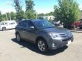 Magnetic Gray Metallic - RAV4 XLE Photo No. 1