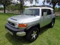 Titanium Metallic - FJ Cruiser 4WD Photo No. 1