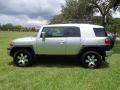 Titanium Metallic - FJ Cruiser 4WD Photo No. 3