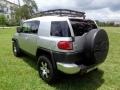Titanium Metallic - FJ Cruiser 4WD Photo No. 5