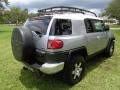 Titanium Metallic - FJ Cruiser 4WD Photo No. 9