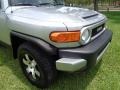 Titanium Metallic - FJ Cruiser 4WD Photo No. 19