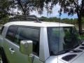 Titanium Metallic - FJ Cruiser 4WD Photo No. 21