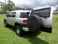 Titanium Metallic - FJ Cruiser 4WD Photo No. 26