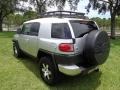 Titanium Metallic - FJ Cruiser 4WD Photo No. 43