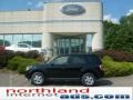 2009 Black Ford Escape XLT 4WD  photo #1