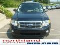 2009 Black Ford Escape XLT 4WD  photo #6