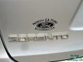 Sparkling Silver - Sorento LX Photo No. 32