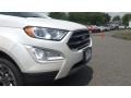 White Platinum - EcoSport Titanium 4WD Photo No. 28