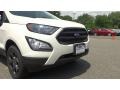 Diamond White - EcoSport SES 4WD Photo No. 28