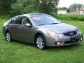 2008 Pebble Beach Metallic Nissan Maxima 3.5 SL  photo #3