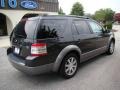 Graphite Metallic - Taurus X SEL AWD Photo No. 8