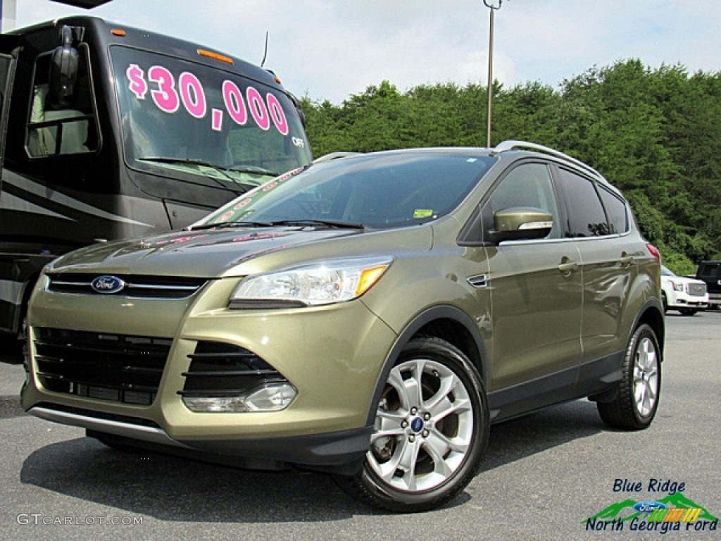 Ginger Ale Ford Escape