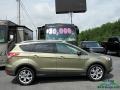 2014 Ginger Ale Ford Escape Titanium 2.0L EcoBoost  photo #6