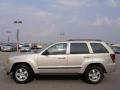 Light Graystone Pearl - Grand Cherokee Laredo Photo No. 6