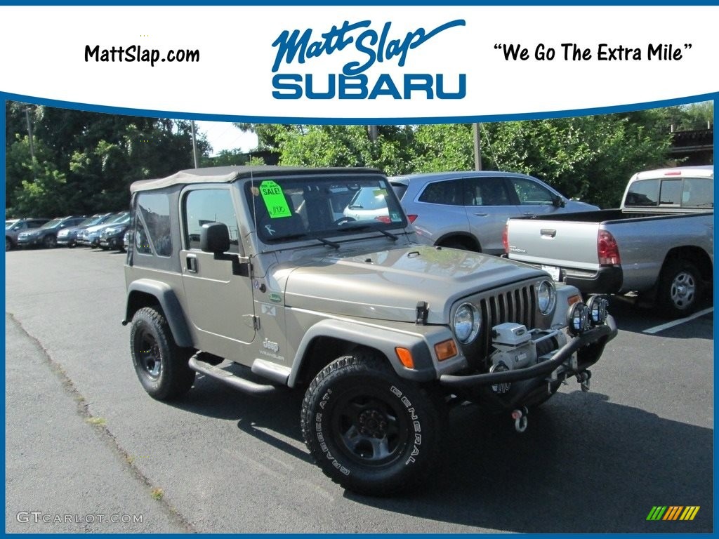 2004 Wrangler X 4x4 - Bright Silver Metallic / Dark Slate Gray photo #1