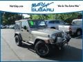 Bright Silver Metallic 2004 Jeep Wrangler X 4x4