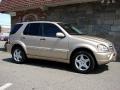 Desert Silver Metallic - ML 55 AMG 4Matic Photo No. 10