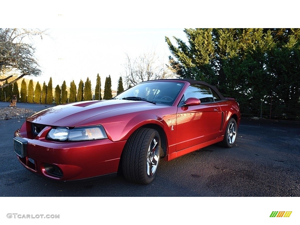 2003 Mustang Cobra Convertible - Redfire Metallic / Dark Charcoal/Medium Graphite photo #8