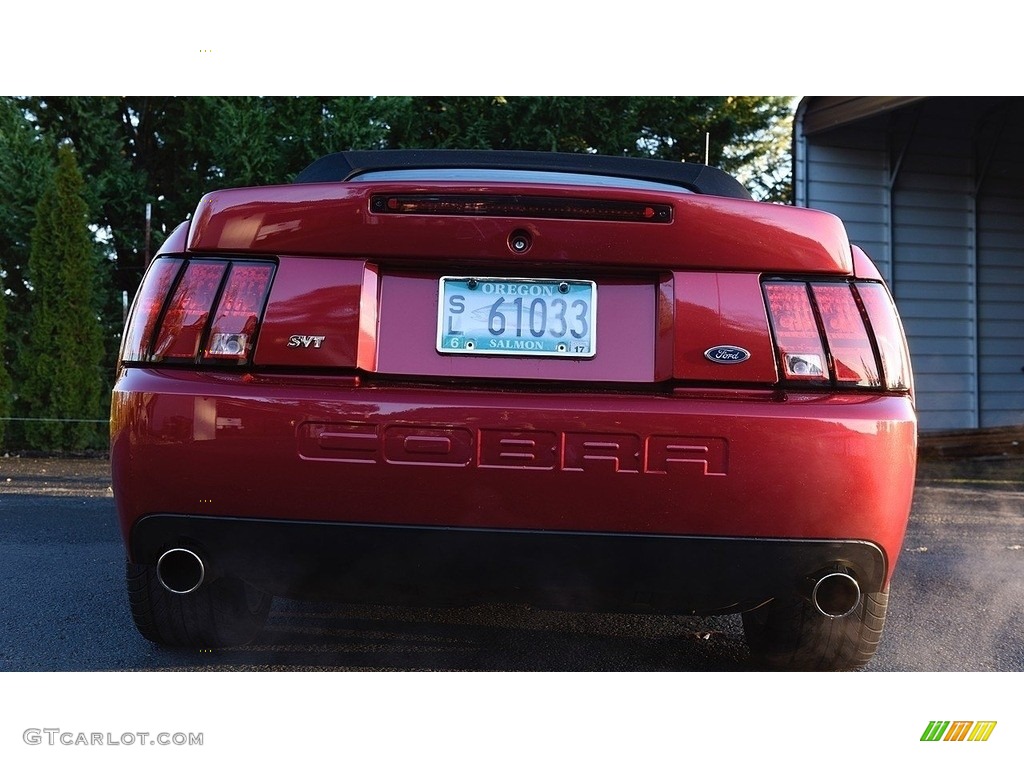 2003 Mustang Cobra Convertible - Redfire Metallic / Dark Charcoal/Medium Graphite photo #10