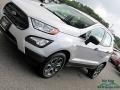 2018 Moondust Silver Ford EcoSport S 4WD  photo #28
