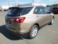 2019 Sandy Ridge Metallic Chevrolet Equinox LS  photo #5