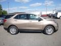 2019 Sandy Ridge Metallic Chevrolet Equinox LS  photo #6