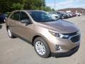 2019 Sandy Ridge Metallic Chevrolet Equinox LS  photo #7