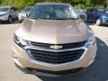 2019 Sandy Ridge Metallic Chevrolet Equinox LS  photo #8