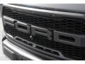 2018 Lead Foot Ford F150 SVT Raptor SuperCrew 4x4  photo #4
