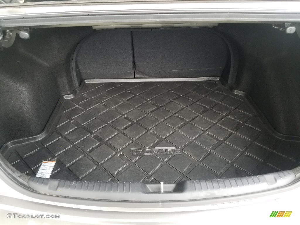2010 Forte SX - Titanium / Black Sport photo #19