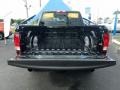 Black Forest Green Pearl - 1500 Big Horn Crew Cab 4x4 Photo No. 19