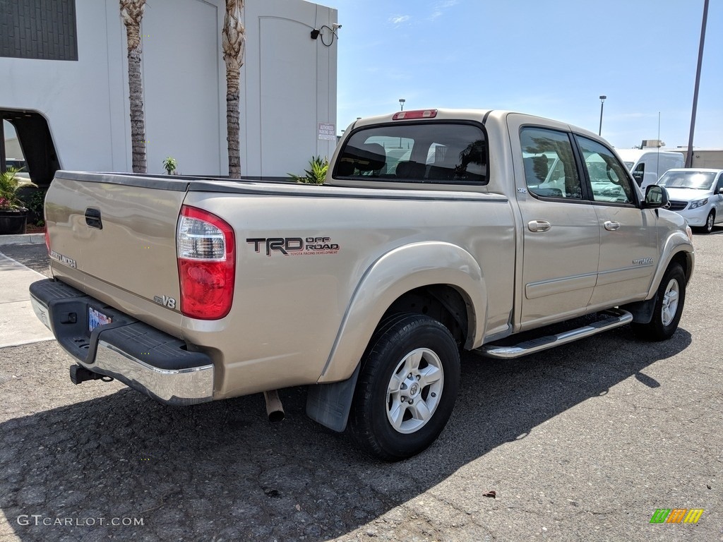 2005 Tundra SR5 Double Cab - Desert Sand Mica / Taupe photo #6