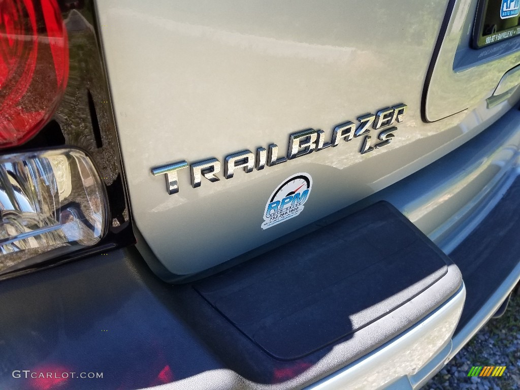 2007 TrailBlazer LS 4x4 - Silverstone Metallic / Light Gray photo #27