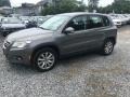 Alpine Grey Metallic - Tiguan S Photo No. 2