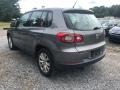 Alpine Grey Metallic - Tiguan S Photo No. 3