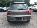 Alpine Grey Metallic - Tiguan S Photo No. 4