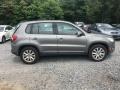 Alpine Grey Metallic - Tiguan S Photo No. 6