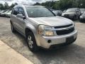 2007 Silverstone Metallic Chevrolet Equinox LT  photo #10